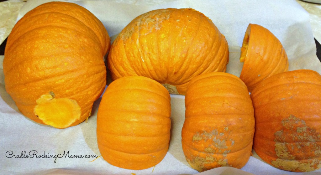 Ready to Bake Pumpkins CradleRockingMama.com