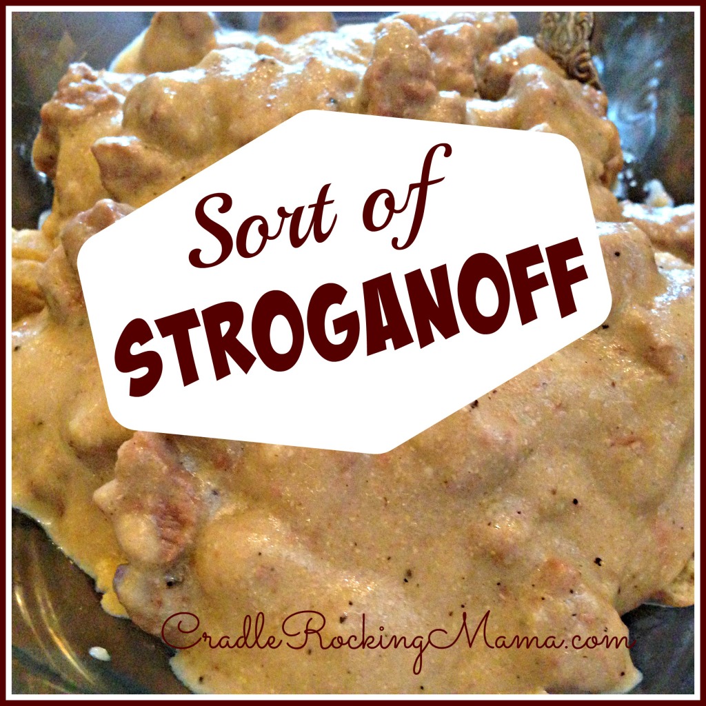 Sort of Stroganoff CradleRockingMama.com