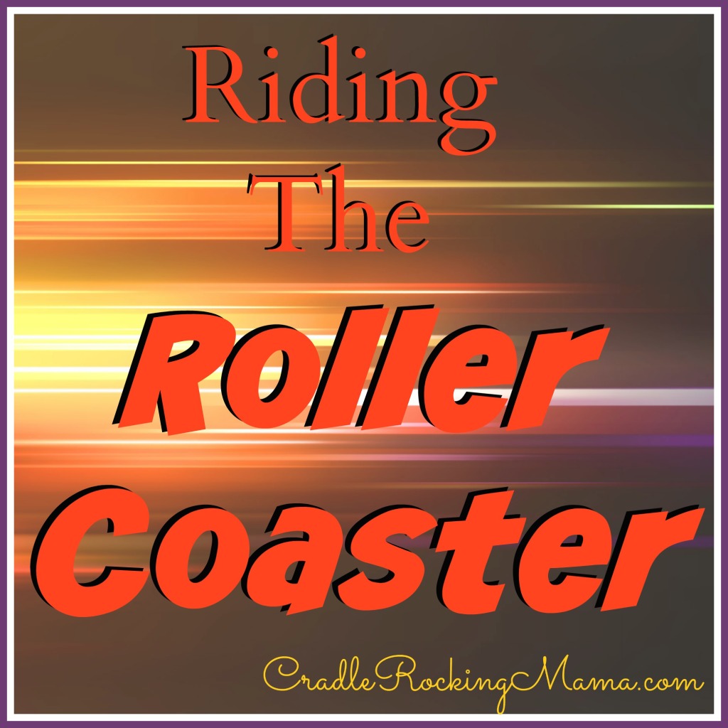 Riding the Roller Coaster CradleRockingMama.com