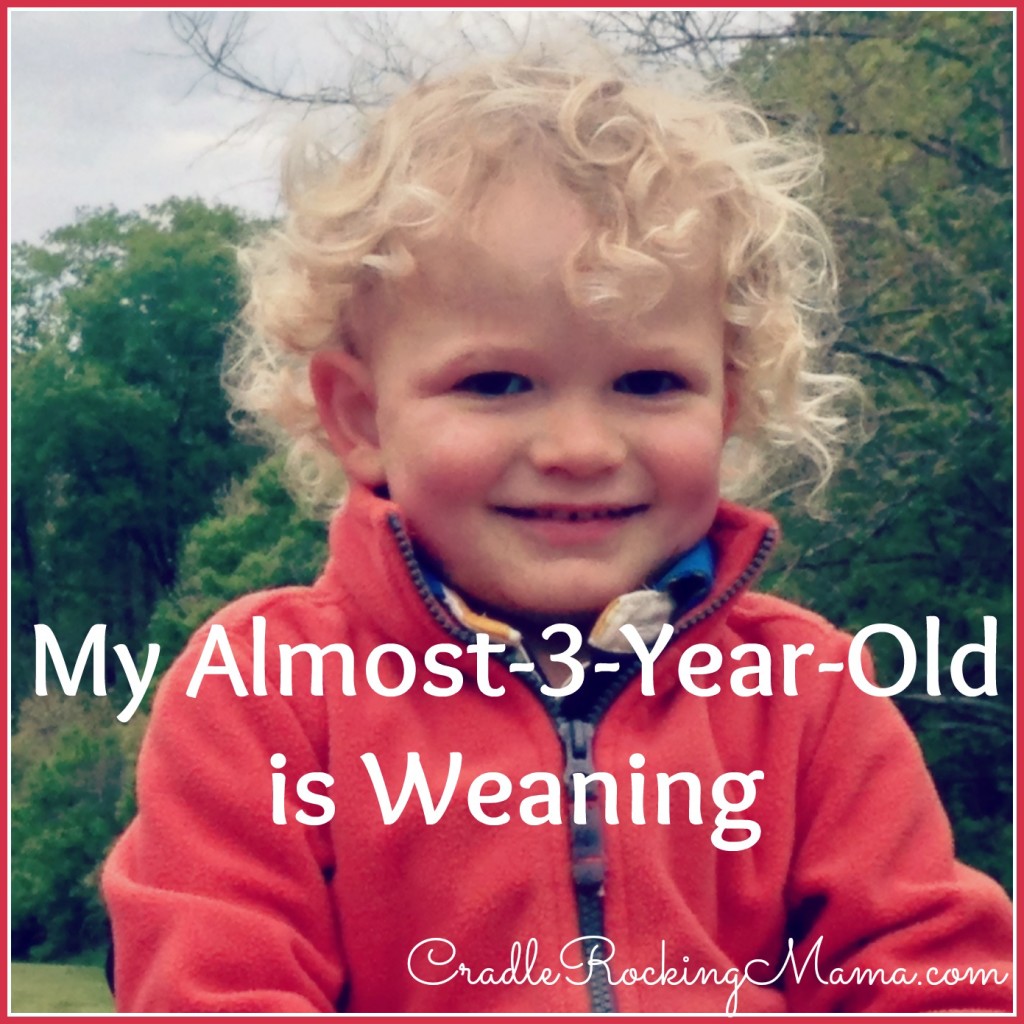 My Almost 3 Year Old Is Weaning CradleRockingMama.com