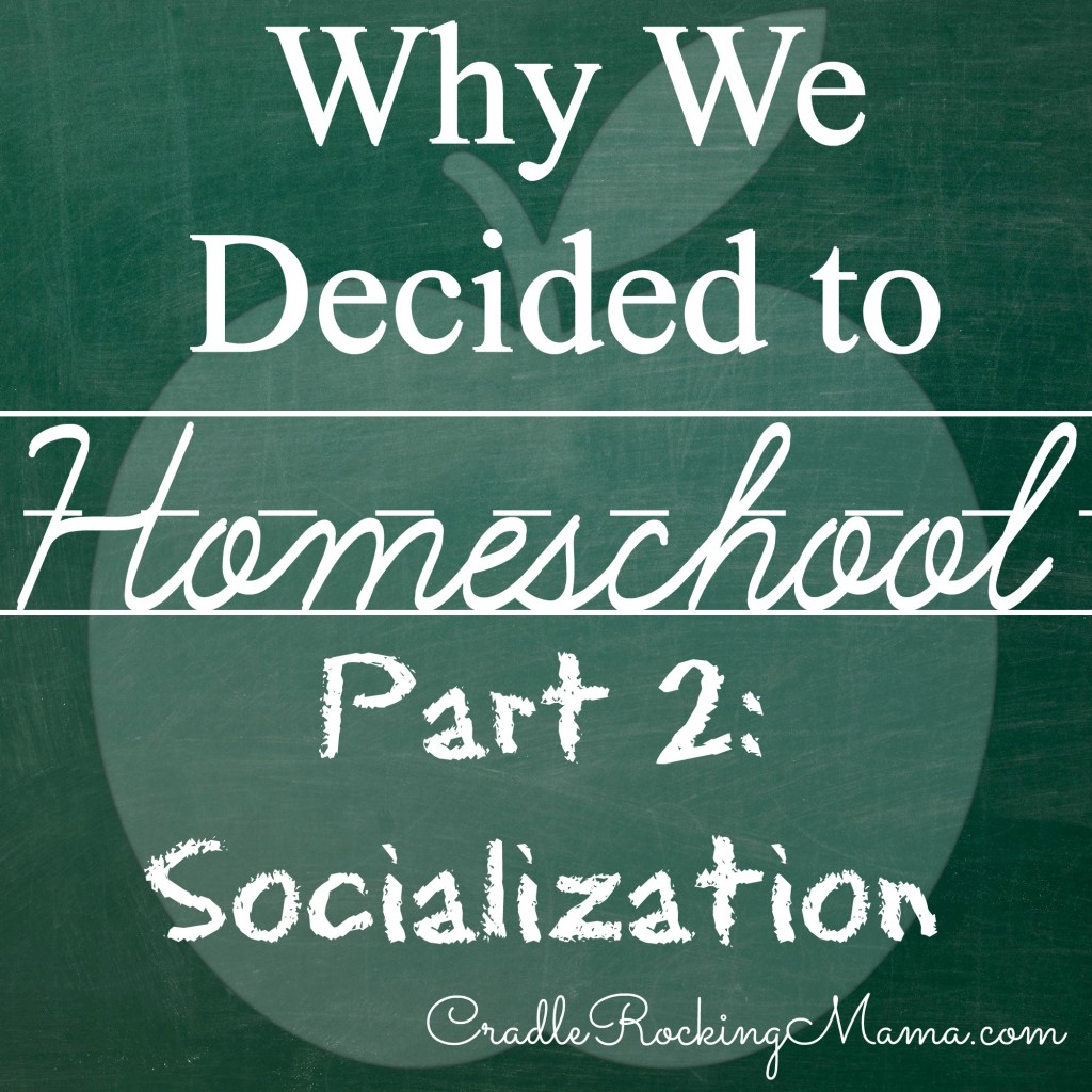 Why We Decided to Homeschool Part 2 Socialization CradleRockingMama.com