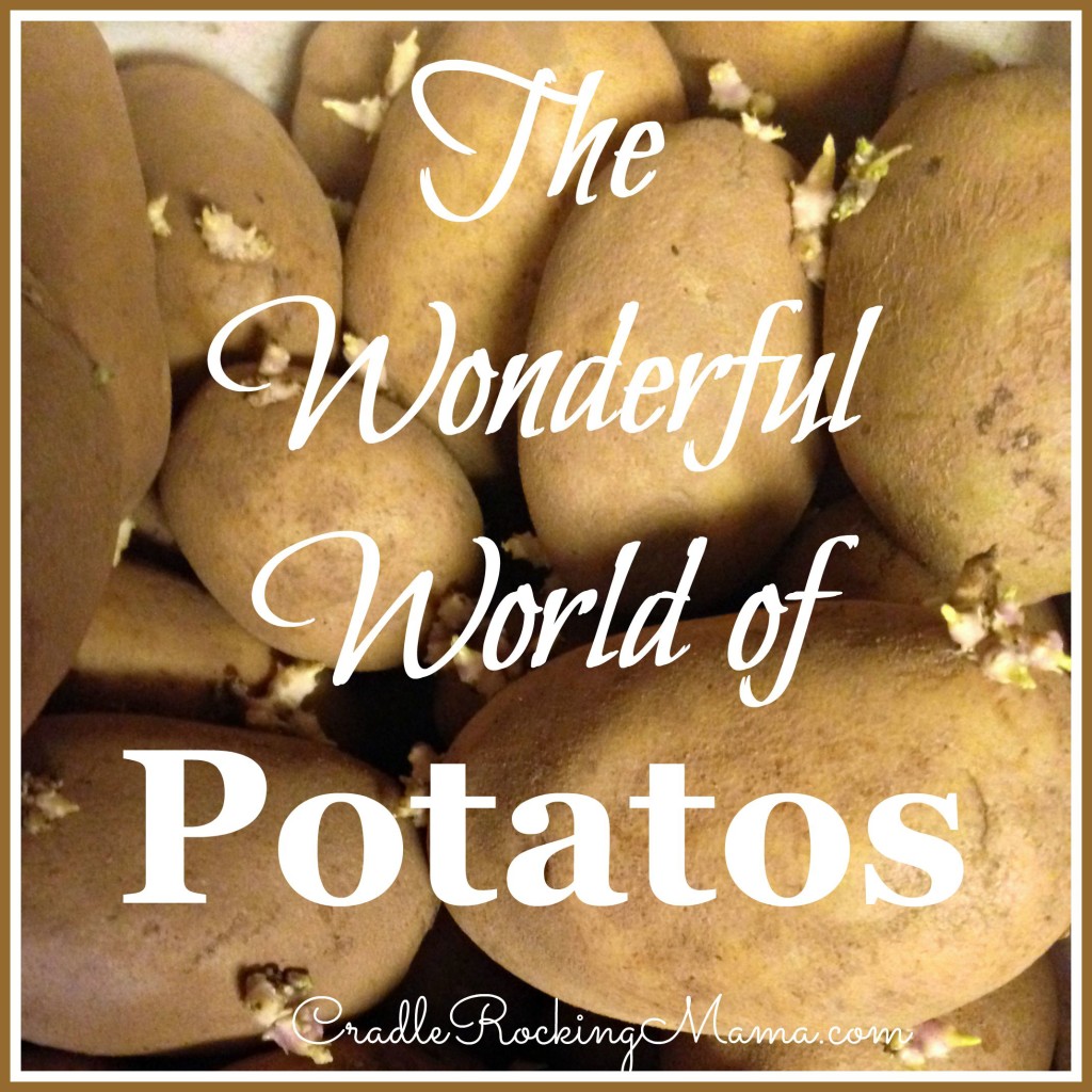 The Wonderful World of Potatos CradleRockingMama.com